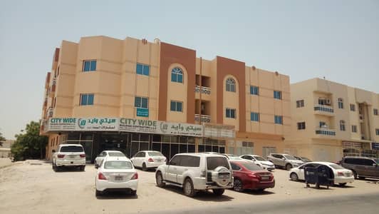 11 Bedroom Building for Sale in Al Rawda, Ajman - 30dd7363-b9fa-4b52-82b5-020aac356e06. jpeg