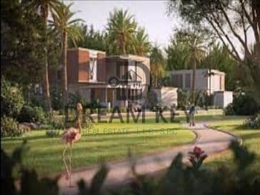 4 Bedroom Villa for Sale in Saadiyat Island, Abu Dhabi - WhatsApp Image 2024-12-14 at 4.06. 48 PM. jpg