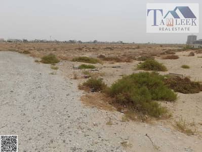 ارض تجارية  للبيع في البطائح، الشارقة - WhatsApp Image 2023-09-13 at 10.54. 59 AM (1). jpeg