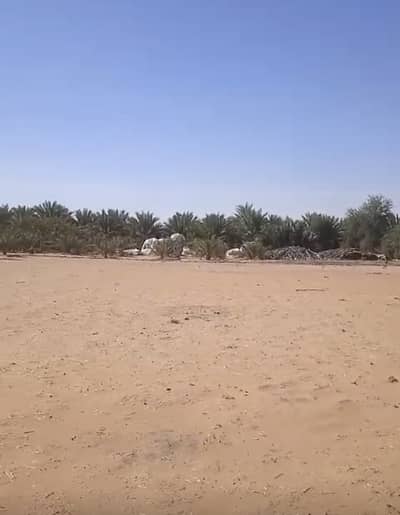 ارض تجارية  للبيع في الوقن، العین - IMG_5513. jpeg