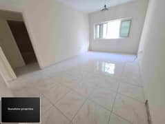 Hot off 1BHK