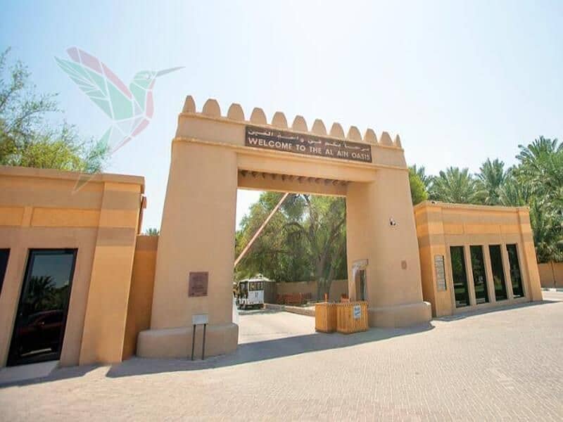 8 al ain oasis. jpeg