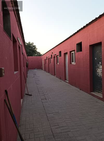 Labour Camp for Rent in Al Sajaa, Sharjah - IMG_20241211_170954. jpg