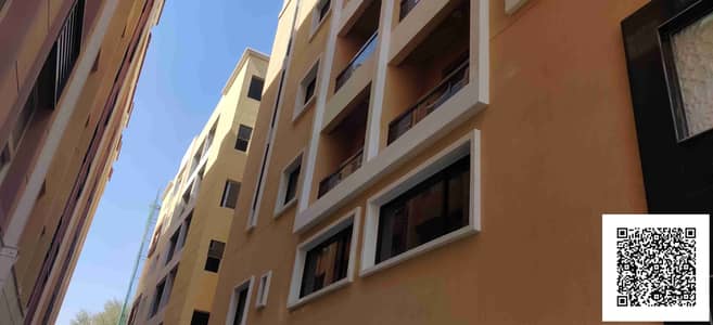 1 Bedroom Flat for Rent in Al Mowaihat, Ajman - IMG_20250201_123054. jpg