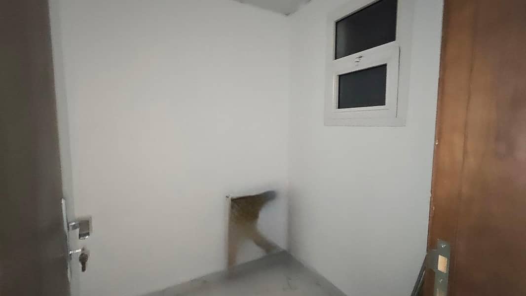 6 IMG-20250201-WA0058. jpg