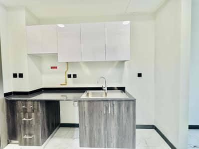Brand new huge Stduio apartment with all amenities +parking