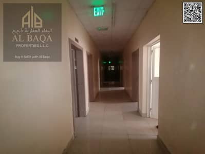 Labour Camp for Rent in Al Jurf, Ajman - WhatsApp Image 2024-12-22 at 8.27. 28 AM (1). jpeg