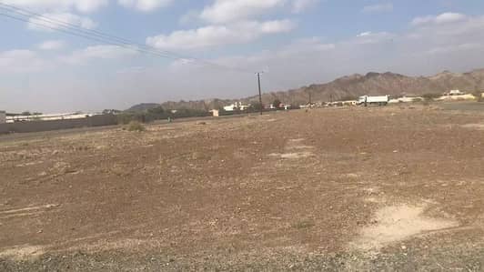 Land has a free in the ambush at a very cheap price Land has a free in the ambush at a very cheap price