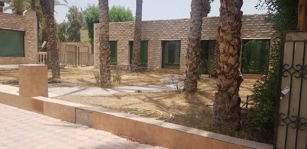 **** HOT OFFER - 4bhk Single Storey Villa available in Halwan Area ***** **** HOT OFFER - 4bhk Single Storey Villa available in Halwan Area *****