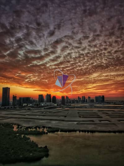 3 Bedroom Apartment for Sale in Al Reem Island, Abu Dhabi - WhatsApp Image 2024-12-17 at 10.11. 28_d65c97b5. jpg