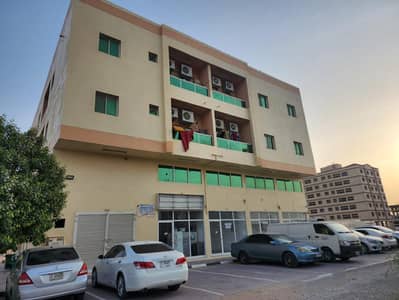 Building for Sale in Al Jurf, Ajman - WhatsApp Image 2025-02-04 at 12.07. 51 PM (1). jpeg