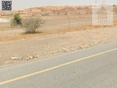 Plot for Sale in Al Manama, Ajman - WhatsApp Image 2025-02-03 at 10.57. 11 AM (2). jpeg