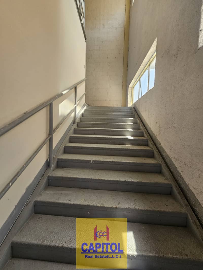 5 42. jpeg