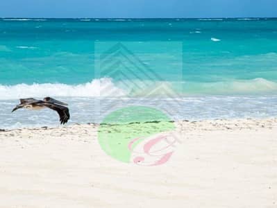 1 Bedroom Flat for Sale in Al Zorah, Ajman - useful_information_pelican_key_best_time_to_visit_64bd54bbff. jpg