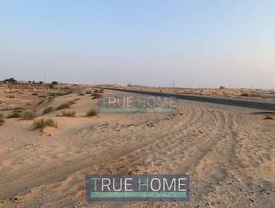 Plot for Sale in Al Zubair, Sharjah - 43e558a5-7707-4765-9c4a-c1e06e195a48. png