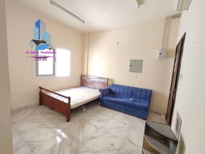 Studio for Rent in Muwaileh, Sharjah - IMG_20250210_131629. jpg