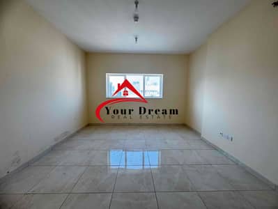 2 Bedroom Flat for Rent in Hamdan Street, Abu Dhabi - IMG_4359. jpg