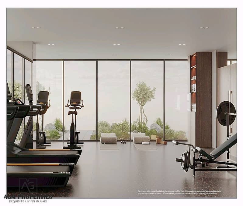 9 WhatsApp Image 2025-02-11 at 23.08. 12 (1). png