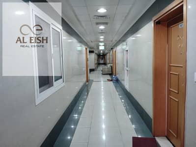 3 Bedroom Flat for Rent in Bur Dubai, Dubai - WhatsApp Image 2025-02-13 at 10.52. 48 AM (1). jpeg