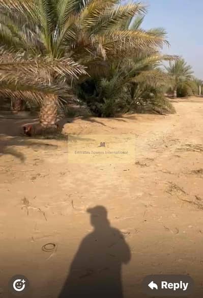 Plot for Sale in Baniyas, Abu Dhabi - IMG_7144. jpg