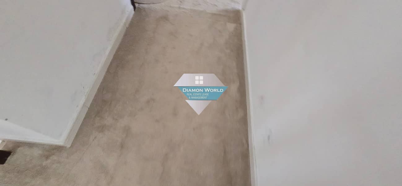 4 20250213_120345. jpg