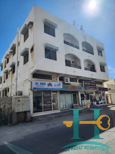 Building for Sale in Al Rumaila, Ajman - WhatsApp Image 2025-02-17 at 2.43. 20 PM. jpeg