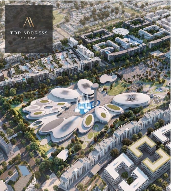 8 MALL. jpg
