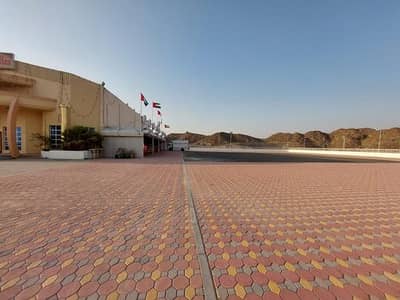 Shop for Rent in Kalba, Sharjah - 3f80ddcd-6e93-11ef-9c53-a6505e3eb7a5. jpeg