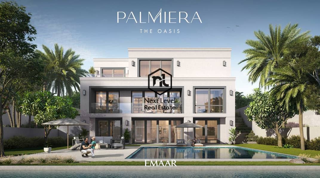 11 palm4. PNG