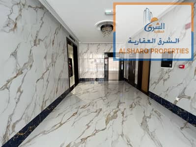 Studio for Rent in Al Rawda, Ajman - WhatsApp Image 2025-02-19 at 10.24. 09 AM. jpeg