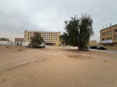 阿尔莫瓦哈特， 阿治曼 混合用途用地待售 - IMG-20250219-WA0040. jpg