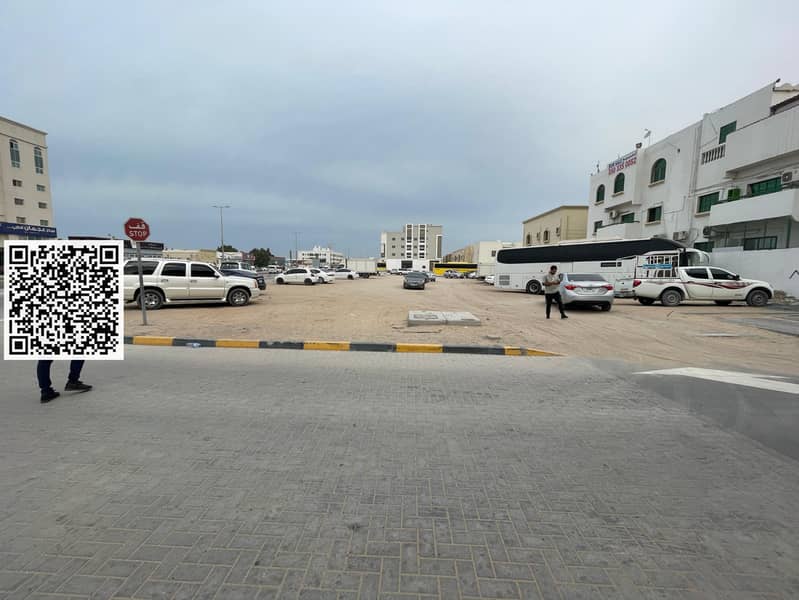 6 WhatsApp Image 2025-02-17 at 10.50. 03. jpeg