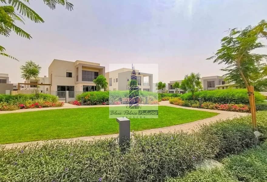 9 sidra 8. jpg