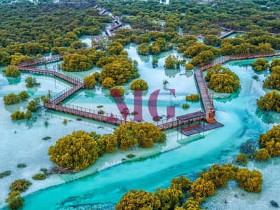 استوديو  للبيع في جزيرة الجبيل، أبوظبي - Jubail-Mangrove-Park-drone-. jpg