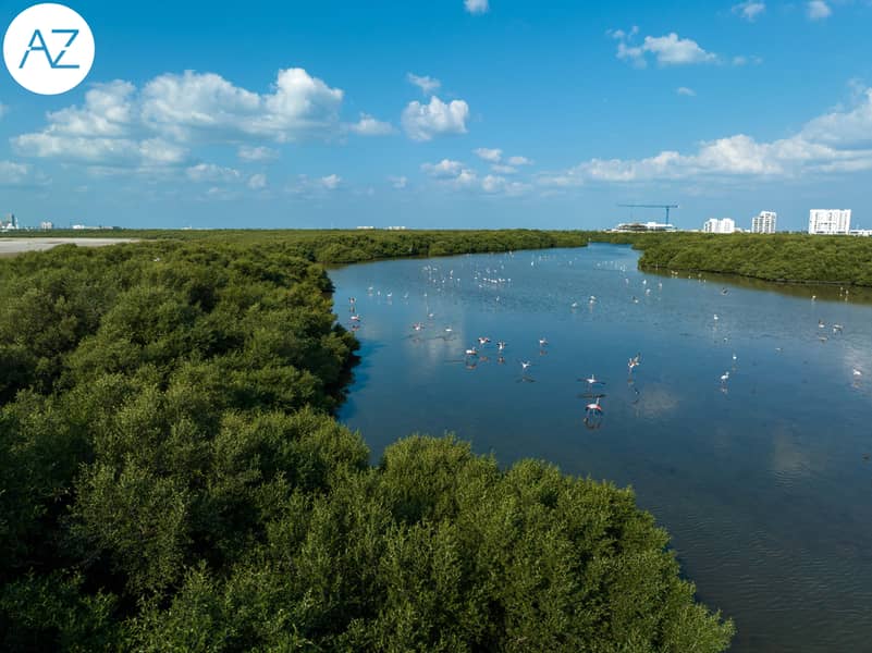 8 DJI_0003. jpg