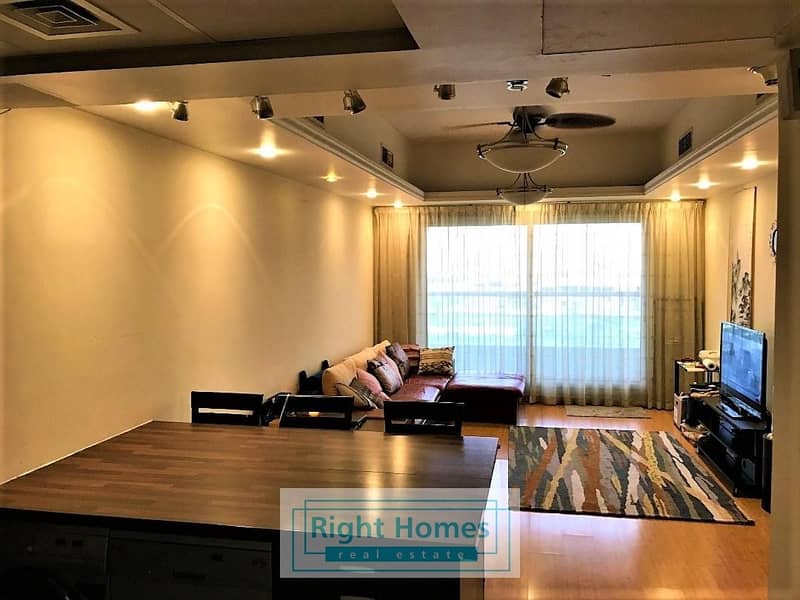 Fully Furnished 1BR- GoodLayout- Park View