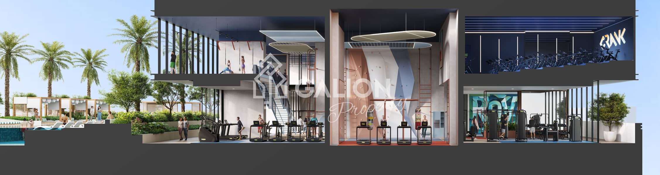 12 14 L5 - GYM. jpg