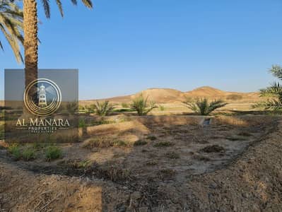 Plot for Sale in Siji, Fujairah - IMG-20250210-WA0019. jpg