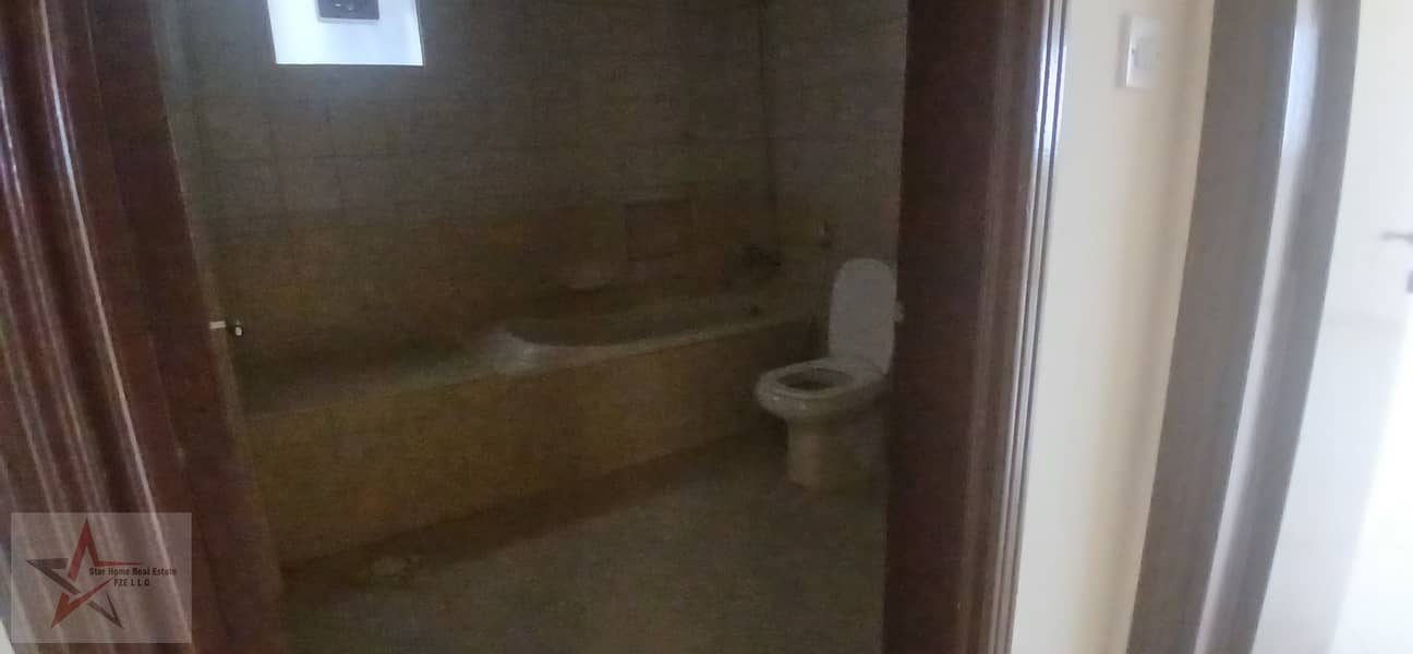 12 20250225_171901. jpg