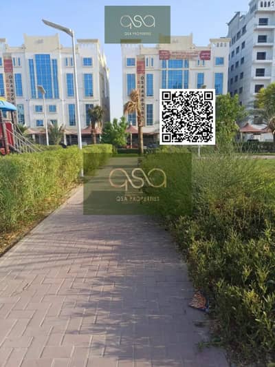 استوديو  للبيع في الياسمين، عجمان - WhatsApp Image 2025-02-10 at 14.03. 11. jpeg