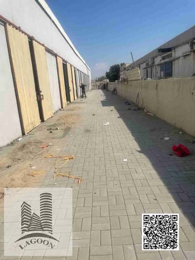 阿治曼工业园区， 阿治曼 仓库待租 - 20250302_125214. jpg