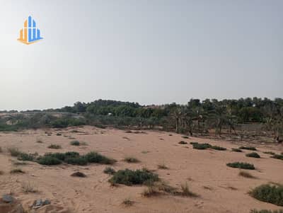 Plot for Sale in Al Zahya, Ajman - photo_5915479244878759642_y. jpg