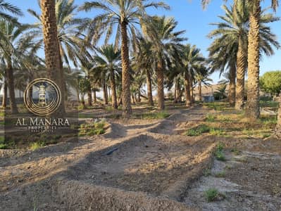 Farm for Sale in Al-Siji, Fujairah  Prime Location Near Masafi!