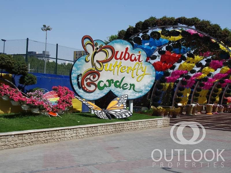 19 VAE-dubai-butterfl-01. jpg