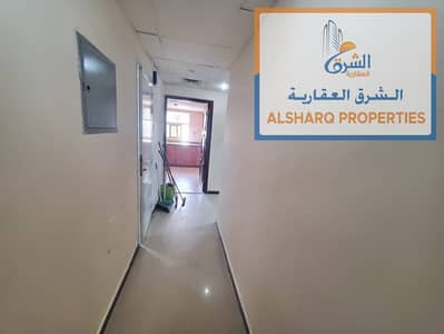 2 Bedroom Flat for Rent in Al Karama Area, Ajman - WhatsApp Image 2025-03-01 at 4.04. 43 AM (1). jpeg