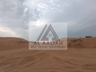 Plot for Sale in Al Alia, Ajman - WhatsApp Image 2025-03-02 at 5.06. 51 PM (1). jpeg
