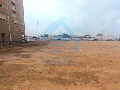 Floor for Rent in Industrial Area, Sharjah - WhatsApp Image 2025-03-04 at 11.28. 09 AM. jpeg