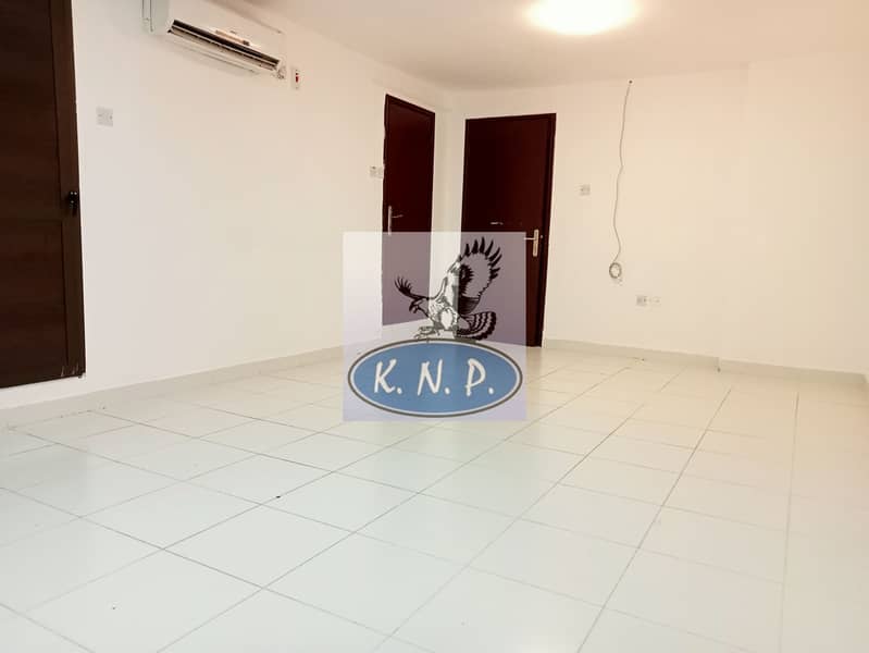 5 IMG20240207174459. jpg