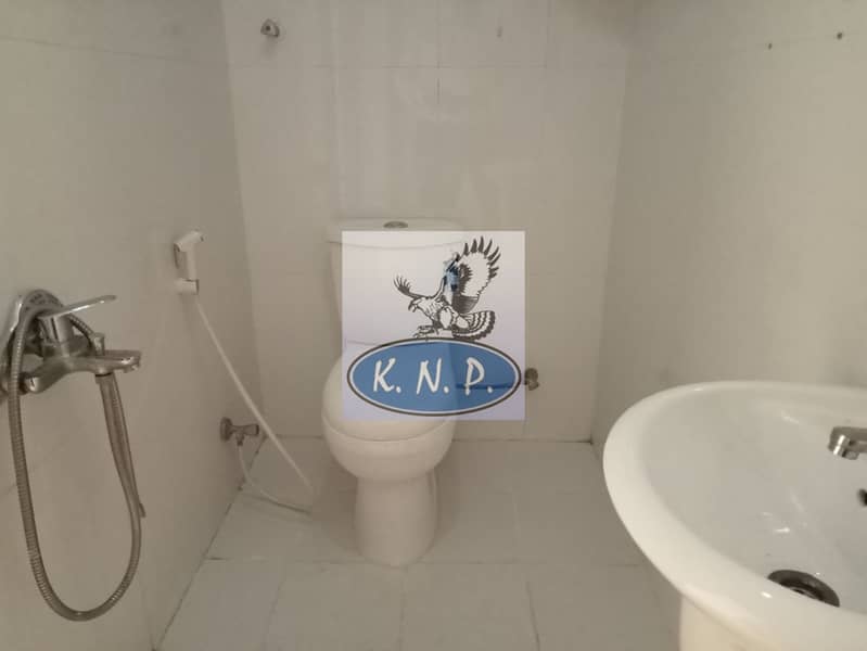 7 IMG20240207174348. jpg