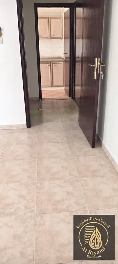 استوديو  للايجار في عجمان وسط المدينة، عجمان - WhatsApp Image 2025-03-03 at 02.07. 55_c66681a7. jpg